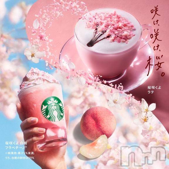 新潟デリヘルGRACE　新潟(グレース　ニイガタ)蓮水（はすみ）(33)の2026年2月19日写メブログ「明日10時から出勤です🌸」