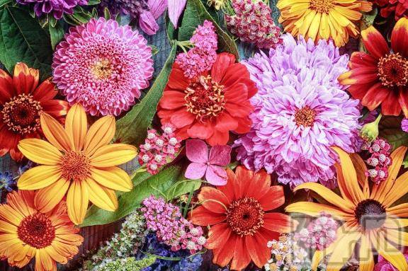 新潟デリヘルGRACE　新潟(グレース　ニイガタ)蓮水（はすみ）(33)の2026年3月13日写メブログ「３月の出勤💐」