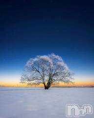 新潟デリヘルGRACE　新潟(グレース　ニイガタ) 蓮水（はすみ）(33)の1月8日写メブログ「今年も１０年に１度の・・・」