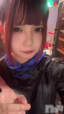 ����������➰🎶