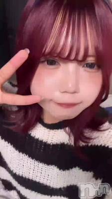 Ϥ衼ߤʹ❓❓