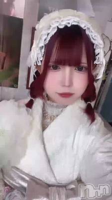 ���Ϥ��פ��֤�νжФ����🌟