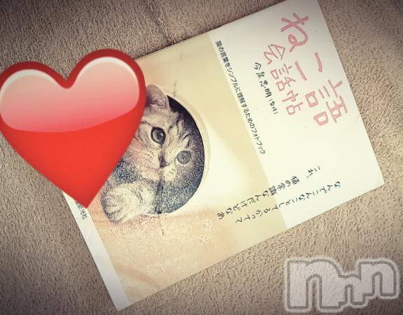 松本発ぽっちゃり癒し姫 松本店(イヤシヒメマツモトテン) 【B】水野さつき(36)の5月29日写メブログ「可愛い仕草😹」