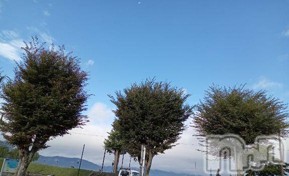 松本発デリヘル癒し姫 松本店(イヤシヒメマツモトテン) 【B】水野さつき(36)の10月12日写メブログ「連休2日目」