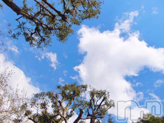 松本発デリヘル癒し姫 松本店(イヤシヒメマツモトテン)【B】水野さつき(36)の2025年11月12日写メブログ「澄んだ」