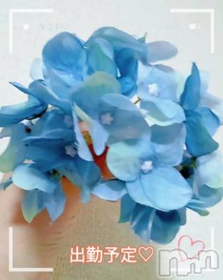 松本発ぽっちゃり 癒し姫(イヤシヒメ) 【B】水野さつき(36)の5月19日写メブログ「今日と直近の出勤予定」