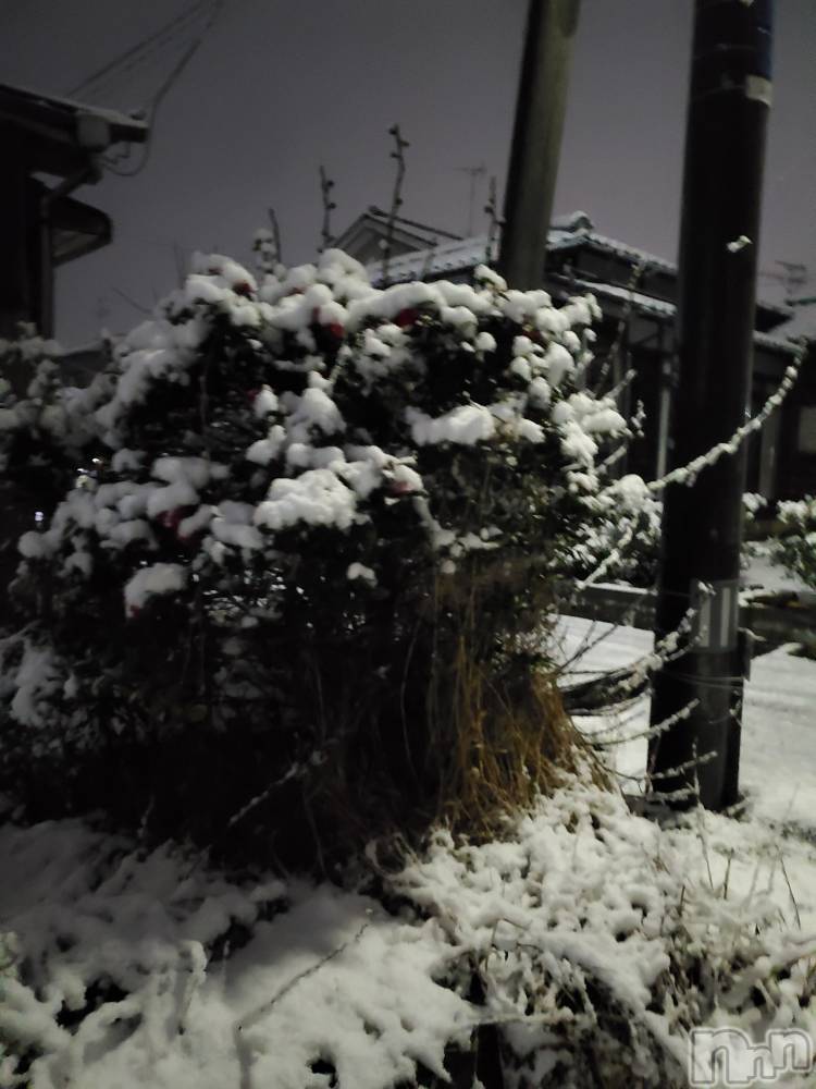 新潟デリヘル奥様特急 新潟店(オクサマトッキュウニイガタテン) まみい(45)の12月19日写メブログ「嘘のような暖かさ」