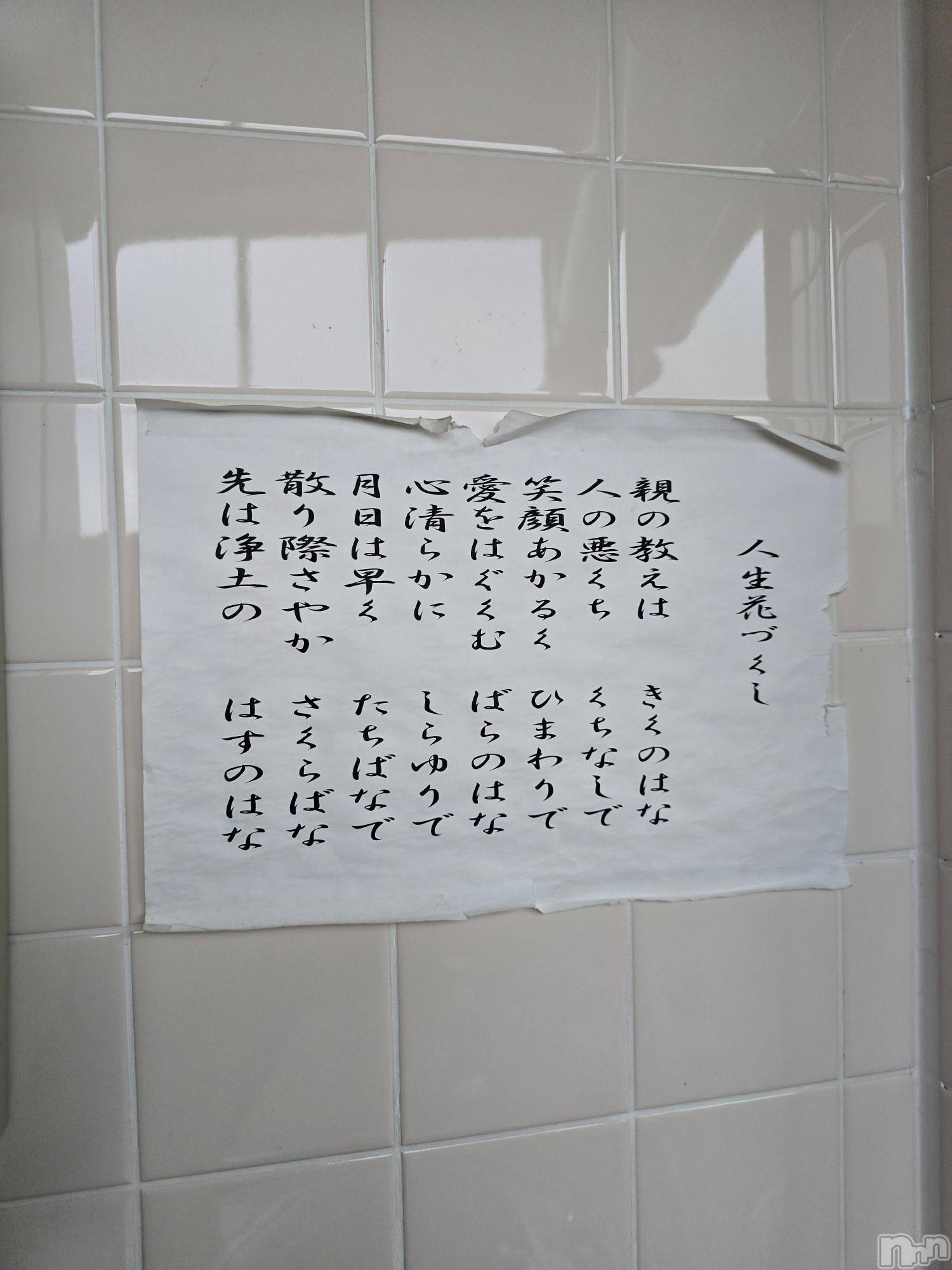 新潟デリヘル奥様特急 新潟店(オクサマトッキュウニイガタテン)まみい(45)の2025年6月26日写メブログ「溶ける🫠どころではなく。😭」