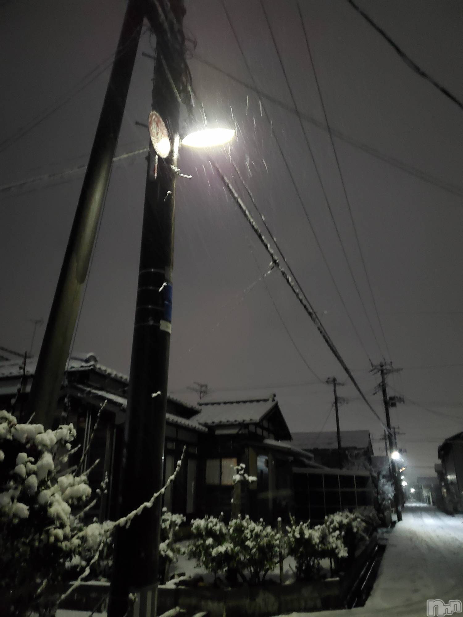 新潟デリヘル奥様特急 新潟店(オクサマトッキュウニイガタテン)まみい(45)の2025年12月5日写メブログ「サムイ((⛄))」