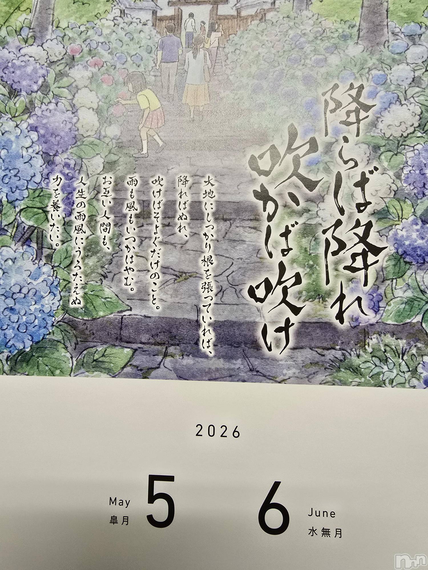 新潟デリヘル奥様特急 新潟店(オクサマトッキュウニイガタテン)まみい(45)の2026年5月23日写メブログ「こころズカイありがとうございます。」