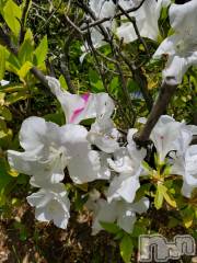 新潟デリヘル奥様特急 新潟店(オクサマトッキュウニイガタテン) まみい(45)の6月11日写メブログ「はい☂️です」