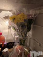 新潟デリヘル奥様特急 新潟店(オクサマトッキュウニイガタテン) まみい(45)の8月14日写メブログ「紡がれていく」