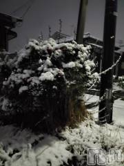 新潟デリヘル奥様特急 新潟店(オクサマトッキュウニイガタテン) まみい(45)の12月19日写メブログ「嘘のような暖かさ」