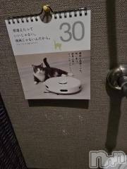 新潟デリヘル奥様特急 新潟店(オクサマトッキュウニイガタテン) まみい(45)の2月19日写メブログ「久しぶりに出勤します。」