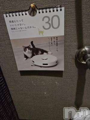 新潟デリヘル 奥様特急 新潟店(オクサマトッキュウニイガタテン) まみい(45)の12月11日写メブログ「お疲れさまです。😘」