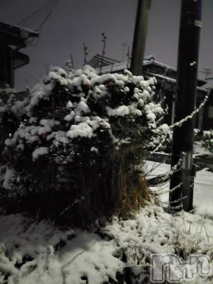 新潟デリヘル 奥様特急 新潟店(オクサマトッキュウニイガタテン) まみい(45)の12月19日写メブログ「嘘のような暖かさ」