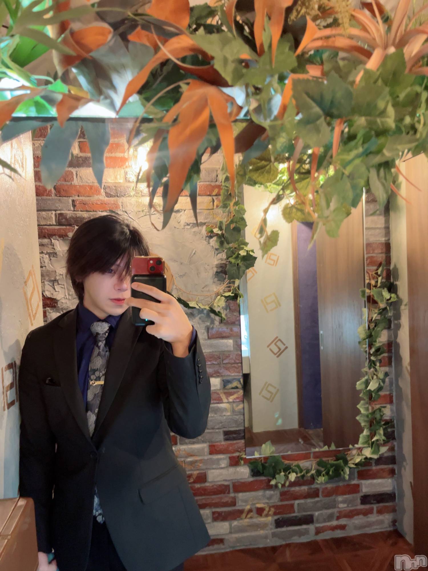 ĮۥȡܡСA151(ݥ) 2025ǯ1210ֺ̥֥⤿夲