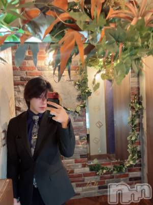 ĮۥȡܡСA151(ݥ) 1210ֺ̥֥⤿夲