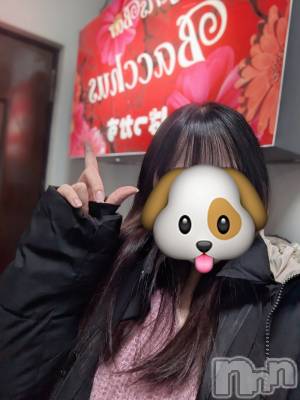 ����������ʥå��������륺�С�Girls Bar Bacchus�������Ź(�Хå��������ޥ��ƥ�) �椦����3��7���̥�֥����֤ʤ󤫴����ʤ�⁉️��