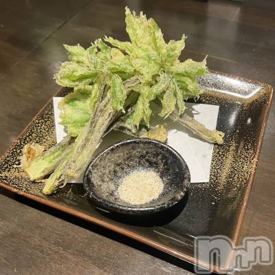 ܱХ顦CLUB FOUR LEAF(ե꡼) ޤ524̥֥🌿