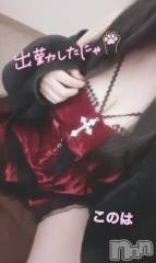 新潟ソープスチュワーデス このは(23)の10月25日写メブログ「スタート🈳あり!」