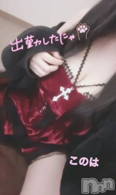 新潟ソープ スチュワーデス このは(23)の10月25日写メブログ「スタート🈳あり!」