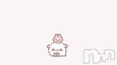 長岡デリヘル純・無垢(ジュンムク) れいな(20)の8月16日写メブログ「昨日のお礼💌」