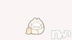 長岡デリヘル純・無垢(ジュンムク) れいな(20)の11月7日写メブログ「しゅっきんぬᐡ-ﻌ•ᐡ🐾」