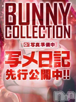 セツナ(22) 身長164cm、スリーサイズB86(D).W52.H83。新潟ソープ 新潟バニーコレクション(ニイガタバニーコレクション)在籍。