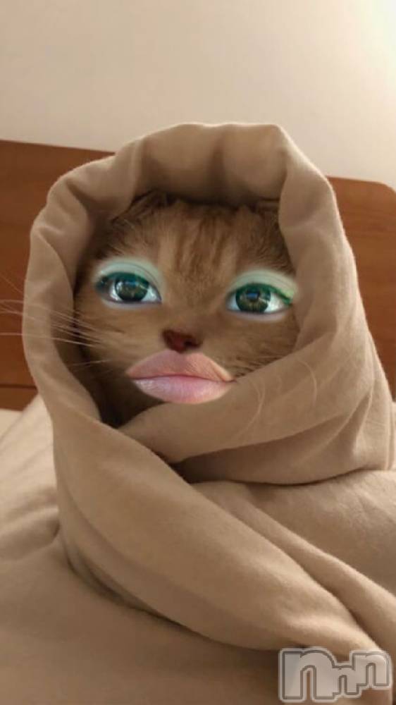 ʥå륺СSNACK Himawari(ʥåҥޥ) 1212̥֥7_🎂