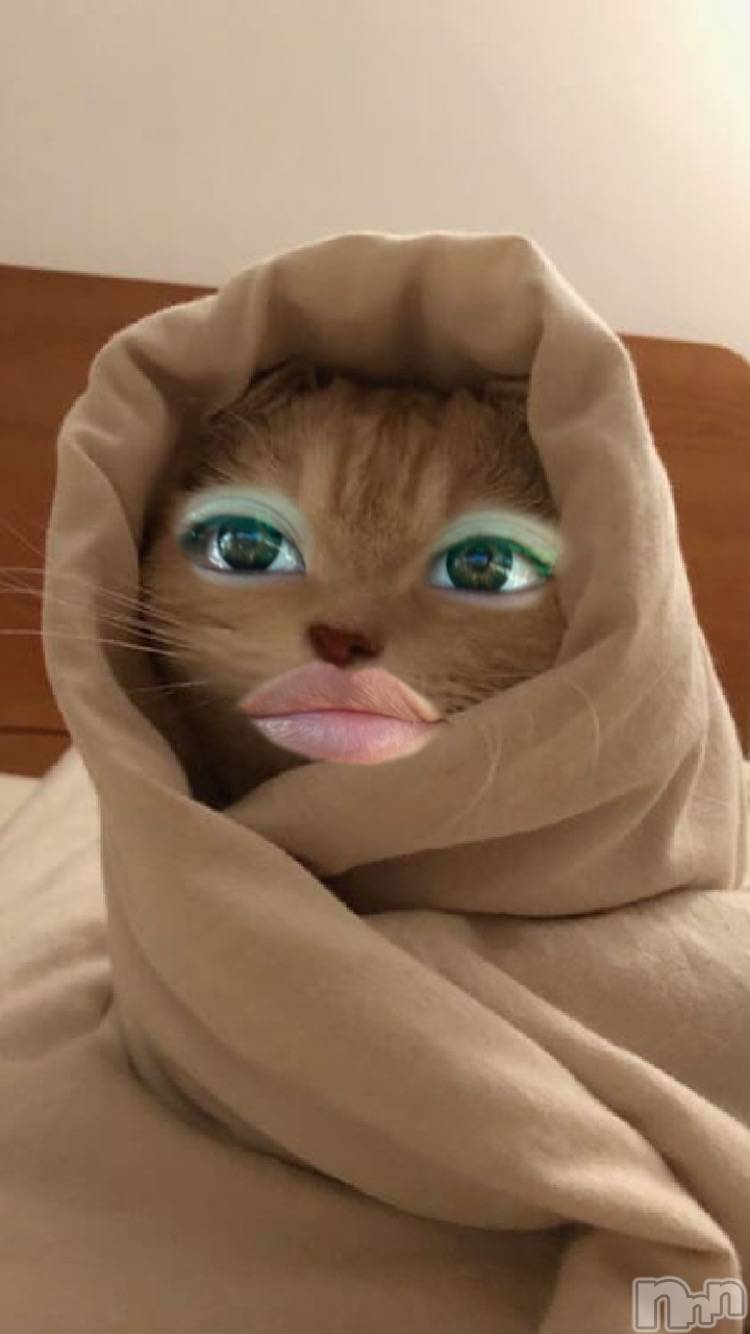 ʥå륺СSNACK Himawari(ʥåҥޥ) 2025ǯ1212̥֥7_🎂