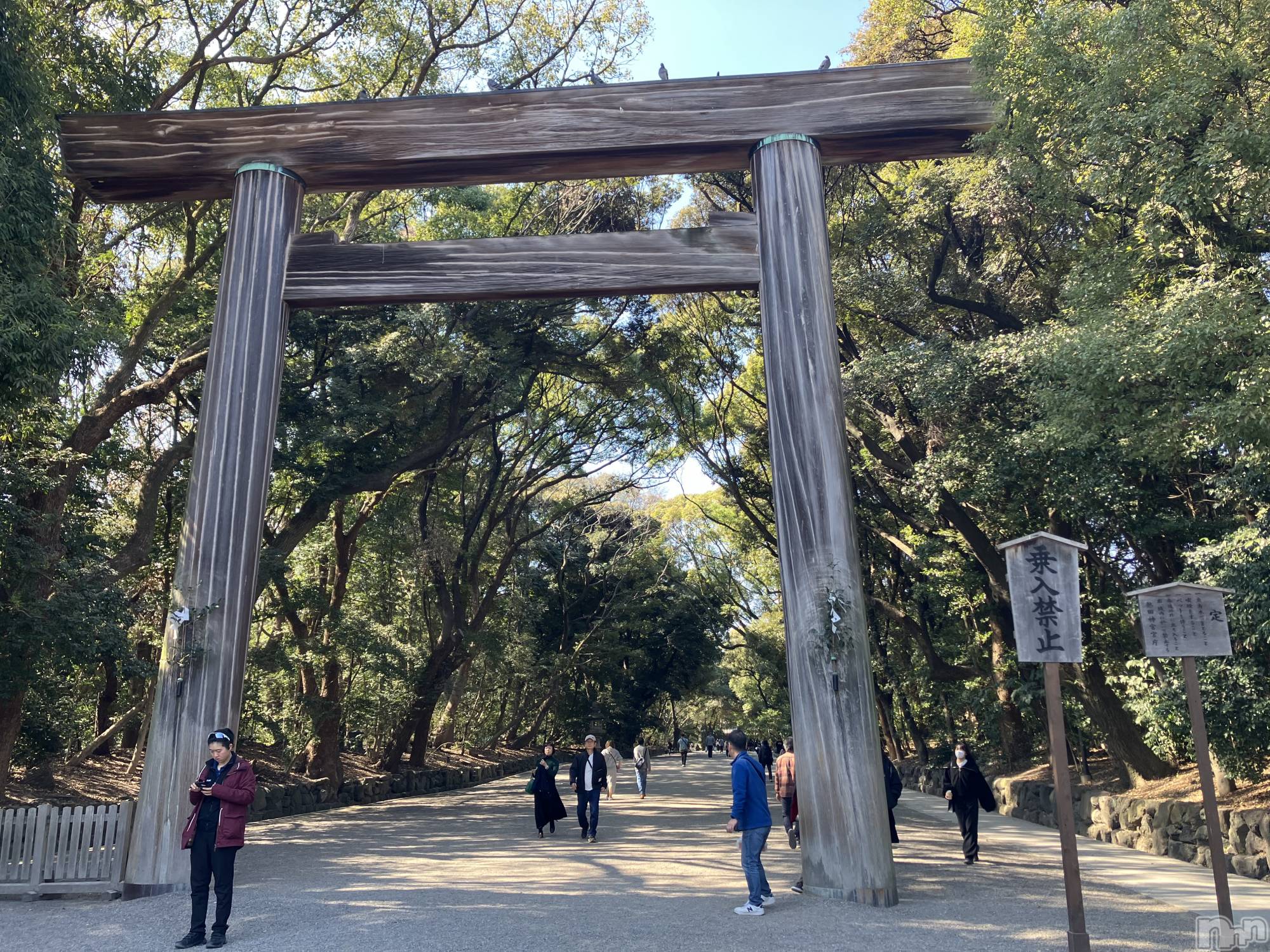 ����������ʥå��������륺�С�SNACK Himawari(���ʥå��ҥޥ��) ��2026ǯ3��17���̥�֥�����9_⛩️��