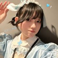 ���(21) ��Ĺ154cm����Į���ʥå��������륺�С� concept bar Citron(���󥻥ץȥС����ȥ���)���ҡ�