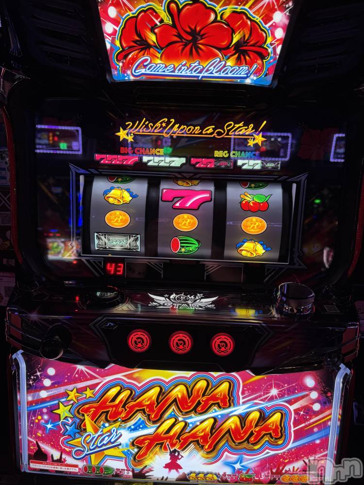 ʥå륺Сʥå New KANAKO(˥塼ʥ) Ƿ ̤1113ֺ̥֥ǶΥϥޤС