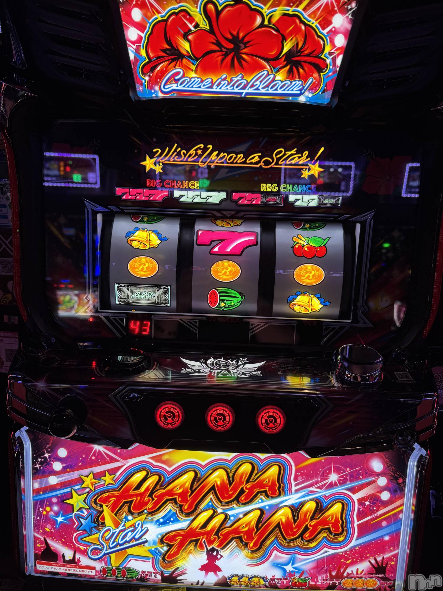 ʥå륺Сʥå New KANAKO(˥塼ʥ) 2025ǯ1113ֺ̥֥ǶΥϥޤС