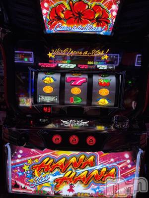 ʥå륺Сʥå New KANAKO(˥塼ʥ) Ƿ ̤1113ֺ̥֥ǶΥϥޤС