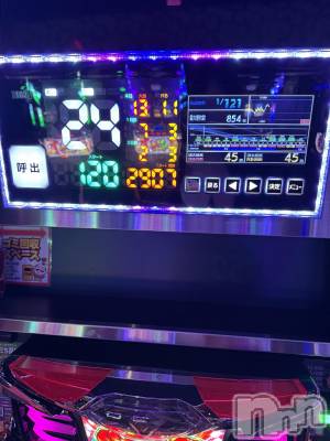 ʥå륺Сʥå New KANAKO(˥塼ʥ) Ƿ ̤1211̥֥īС