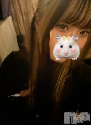 Τ(20) Ĺ155cm襳ѥ˥󥯥 Sugar(奬)ҡ