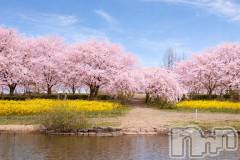 新潟デリヘル人妻不倫処　桃屋　新潟店(ヒトヅマフリンドコロモモヤ) なな・癒し系彼女(32)の4月13日写メブログ「花より団子🌸」