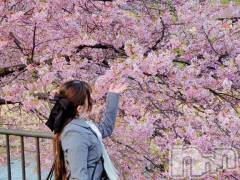 長岡デリヘルROOKIE(ルーキー) ここあ(23)の3月18日写メブログ「🎀4月出勤決定っ！✨🎀」