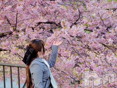 長岡デリヘル ROOKIE(ルーキー) ここあ(23)の3月18日写メブログ「🎀4月出勤決定っ！✨🎀」