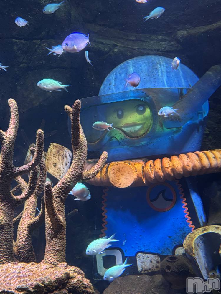 ��Ʋ����Х��顦�����CLUB FOUR GARDEN(����֡��ե��������ǥ�) �ޤ���12��22���̥�֥�����🍺��