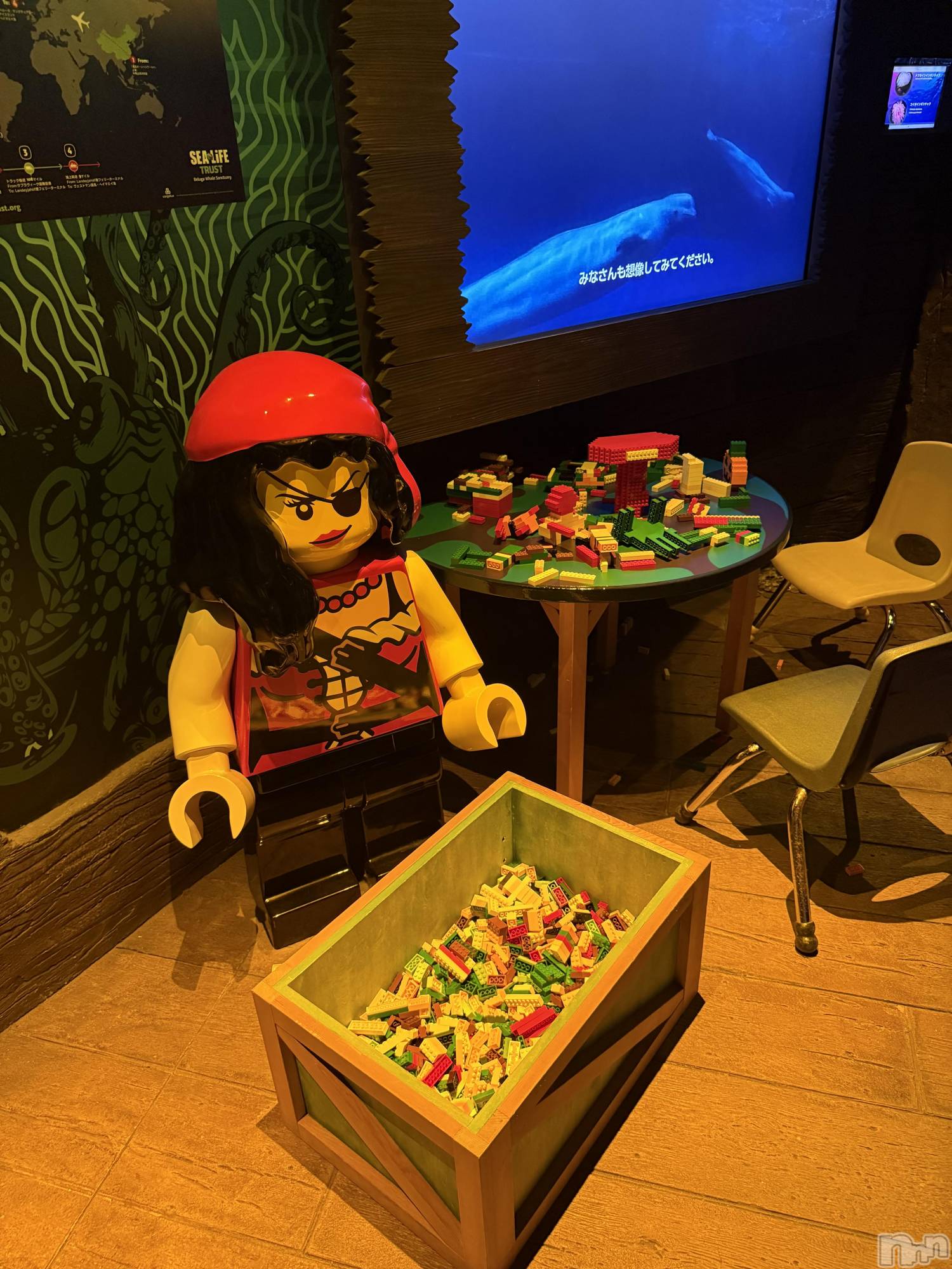 ƲХ顦CLUB FOUR GARDEN(֡եǥ) 2025ǯ1115̥֥🧸