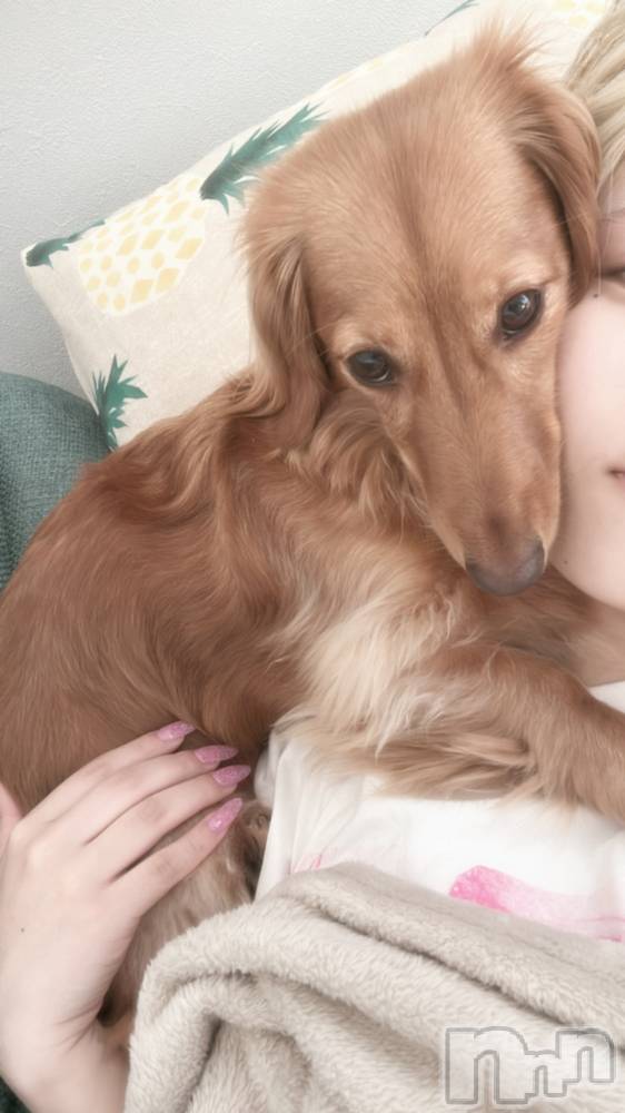 ʥå륺Сʥå New KANAKO(˥塼ʥ) 䤫725̥֥725 2022ʬΥ֥