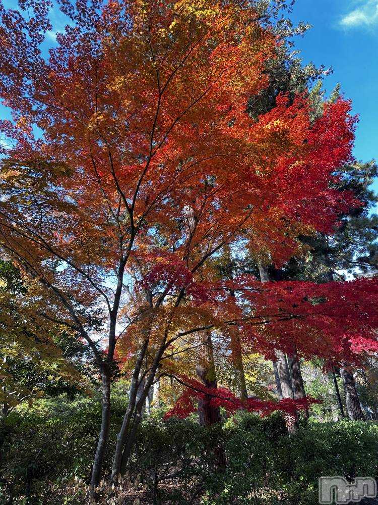 ʥå륺Сʥå New KANAKO(˥塼ʥ) 䤫1119ֹ̥֥🍁