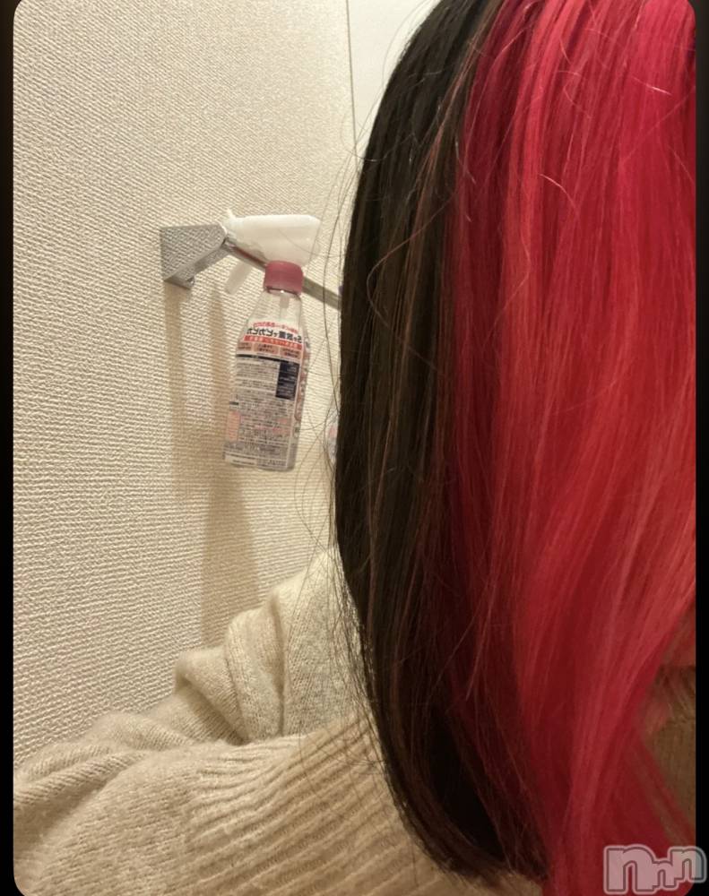 ����������ʥå��������륺�С��������ʥå� New KANAKO(�˥塼���ʥ�) ���䤫��1��24���̥�֥����֥��������✨️��