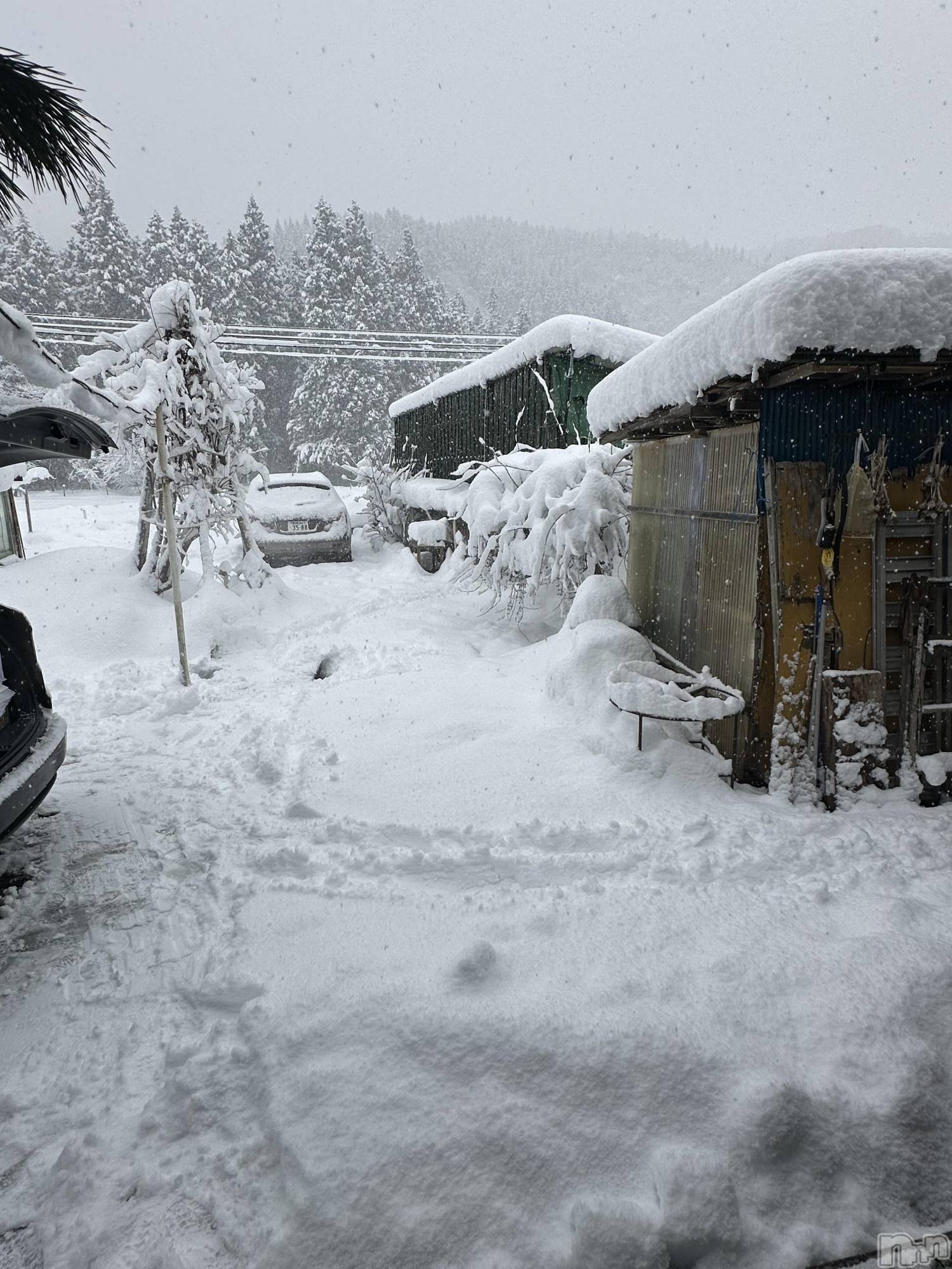 ����������ʥå��������륺�С��������ʥå� New KANAKO(�˥塼���ʥ�) ��2026ǯ1��7���̥�֥�������⛄️��