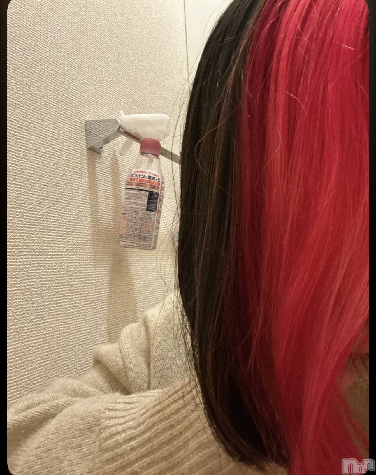 ����������ʥå��������륺�С��������ʥå� New KANAKO(�˥塼���ʥ�) ��2026ǯ1��24���̥�֥����֥��������✨️��