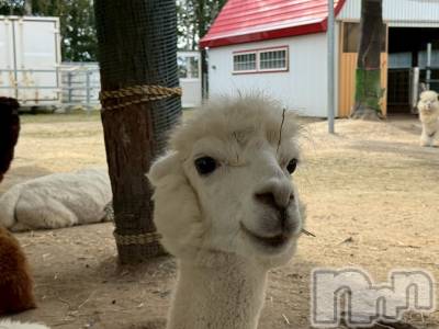 ʥå륺Сʥå New KANAKO(˥塼ʥ) 䤫(21)103̥֥֥ѥ🦙