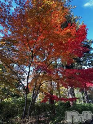 ʥå륺Сʥå New KANAKO(˥塼ʥ) 䤫(21)1119ֹ̥֥🍁